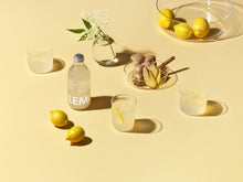 Lade das Bild in den Galerie-Viewer, Bio Ingwer Limonade - Fair Trade - Lemonaid Ingwer Flasche - 2
