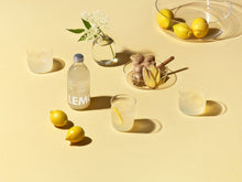 Lade das Bild in den Galerie-Viewer, Bio Ingwer Limonade - Fair Trade - Lemonaid Ingwer Flasche - 2