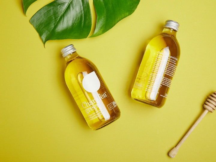 Bio Eistee aus Grünem Tee mit Ingwer - Fair Trade - ChariTea Green Flasche - 1