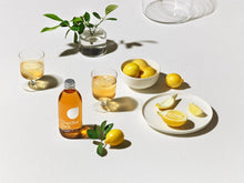 Lade das Bild in den Galerie-Viewer, Bio Eistee Zitrone Flasche - Fair Trade - ChariTea Black - 2