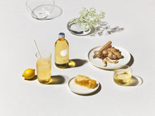 Lade das Bild in den Galerie-Viewer, Bio Eistee aus Grünem Tee mit Ingwer - Fair Trade - ChariTea Green Flasche - 2