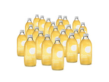 Lade das Bild in den Galerie-Viewer, Bio Eistee aus Grünem Tee mit Ingwer - Fair Trade - ChariTea Green Flasche - 4