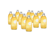 Lade das Bild in den Galerie-Viewer, Bio Eistee aus Grünem Tee mit Ingwer - Fair Trade - ChariTea Green Flasche - 3