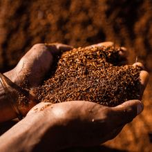 Lade das Bild in den Galerie-Viewer, Bio Eistee - Fair Trade - ChariTea Red - Rooibos Rohware