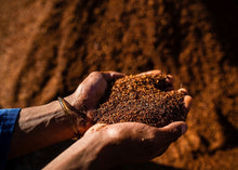 Lade das Bild in den Galerie-Viewer, Bio Tee - Fair Trade - ChariTea Red Rooibos - 7
